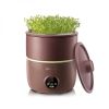 Bear Bean Sprouts Machine, Automatic Bean Sprouts Maker, Purple Clay Seed Sprouting Kit with Germination Container, Automatic Watering DYJ-B01C1