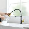 Commercial Black and Gold Kitchen Faucet with Pull Down Sprayer, Single Handle Single Lever Kitchen Sink Faucet